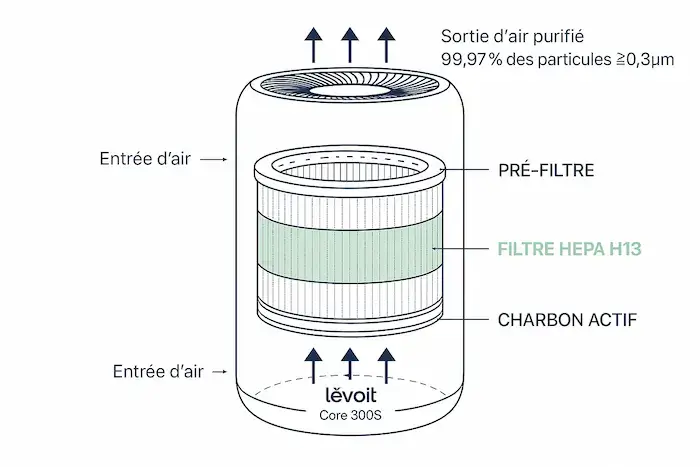 **Comment fonctionne la filtration du levoit core 300s :** 1. **Pré-filtre** : Capture les grosses particules (cheveux, poussières, poils d'animaux) 2. **Filtre HEPA H13** : Retient 99,97% des particules ≥ 0,3 micron (pollen, acariens, bactéries) 3. **Charbon actif** : Absorbe les odeurs, fumées et certains composés organiques volatils Cette conception permet au levoit core 300s de traiter efficacement l'air de votre pièce en moins de 30 minutes.