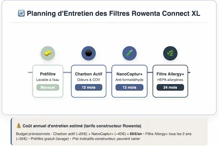 Timeline planning entretien filtres Rowenta Connect XL : préfiltre lavable mensuel, charbon actif et NanoCaptur+ annuels, filtre Allergy+ tous les 24 mois, avec coûts d'entretien estimés