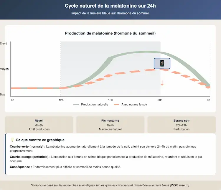 Graphique montrant le cycle naturel de la mélatonine sur 24h avec deux courbes : production normale en vert et production perturbée par les écrans le soir en orange, illustrant la réduction du pic nocturne et le retard d'endormissement