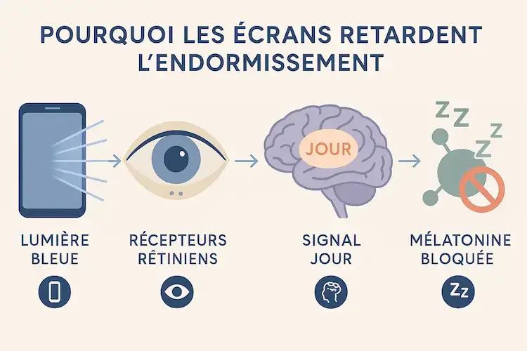 Infographie expliquant comment la lumière bleue des écrans retarde l’endormissement en bloquant la production de mélatonine