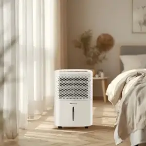 Humidité, moisissures, condensation : le Pro Breeze 12L à la loupe Déshumidificateur Pro Breeze 12L dans une chambre