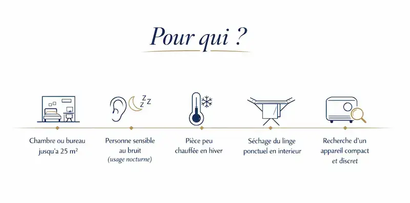 Infographie DeLonghi DNS65 : profils pour qui ce déshumidificateur est adapté — chambre jusqu'à 30 m², silence prioritaire, pièce fraîche ou peu chauffée, séchage linge ponctuel