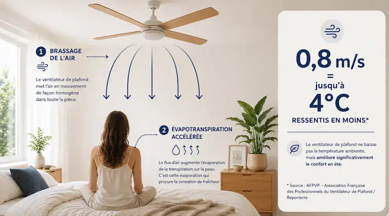 Schéma expliquant comment le ventilateur de plafond améliore la sensation de fraîcheur grâce au brassage de l’air et à l’évapotranspiration