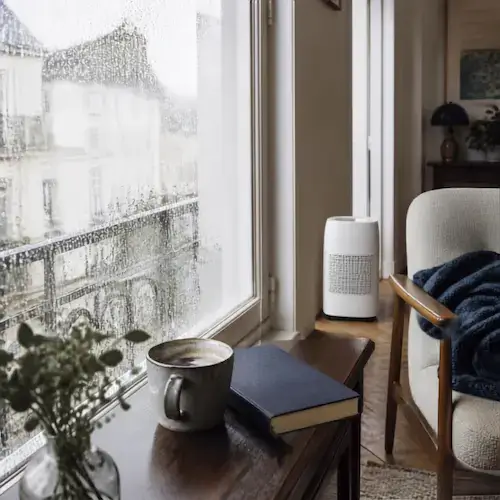Déshumidificateur placé entre une fenêtre et un canapé dans le salon d’un appartement.
